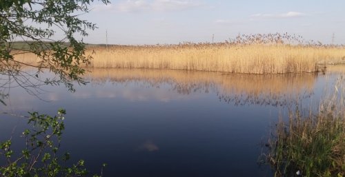 Рибалка на ставку у селі Миколаївка Дніпропетровської області