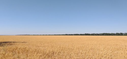 Рибалка на ставку у селі Миколаївка Дніпропетровської області