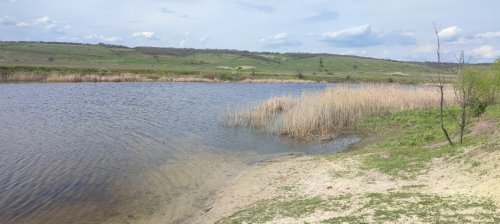 Рибалка на ставку у селі Миколаївка Дніпропетровської області