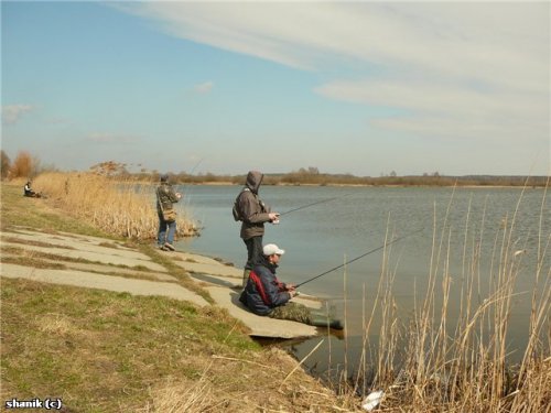 Рибалка біля села Хорев Волинської області