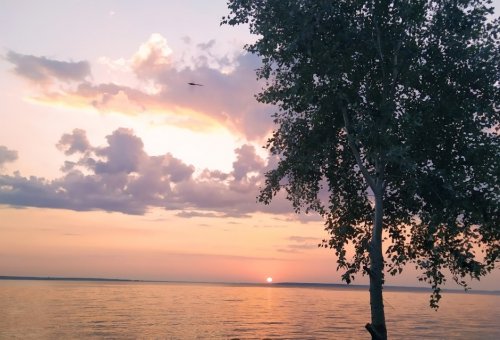 Рибалка в селі Мішурін Ріг Дніпропетровської області