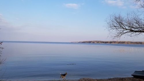 Рибалка в селі Мішурін Ріг