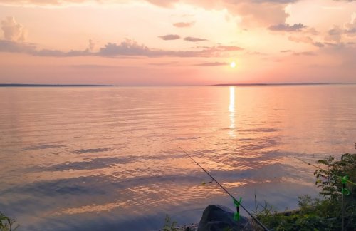 Рибалка в селі Мішурін Ріг Дніпропетровської області