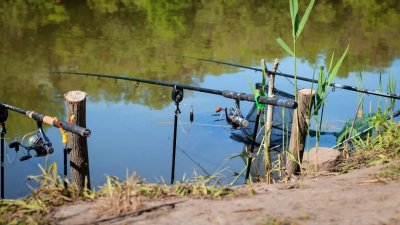 Рыболовная база «Долина цветов»
