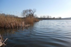 Ставок возле с. Матвеевка Черкасской области-2