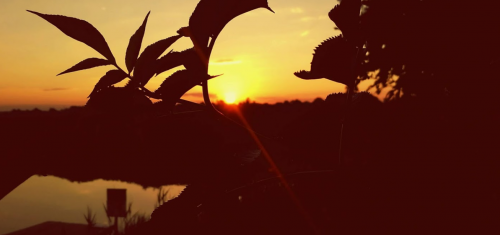 База відпочинку «Боголюби» у Волинській області