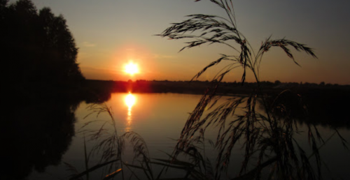 База відпочинку «Боголюби» у Волинській області