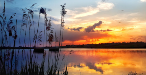 База відпочинку «Боголюби» у Волинській області