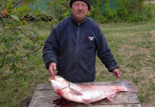 Риболовля на ставку біля села Михайлівка Запорізької області