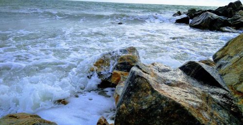 Морська риболовля та відпочинок в селі Новопетрівка, Запорізька область