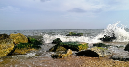 Морська риболовля та відпочинок в селі Новопетрівка, Запорізька область