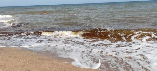 Морська риболовля та відпочинок в селі Новопетрівка, Запорізька область