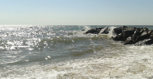 Морська риболовля та відпочинок в селі Новопетрівка, Запорізька область