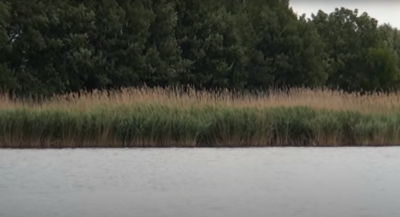 Риболовля біля села Нікольське в Запорізькій області