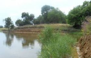 Риболовля біля села Нікольське в Запорізькій області