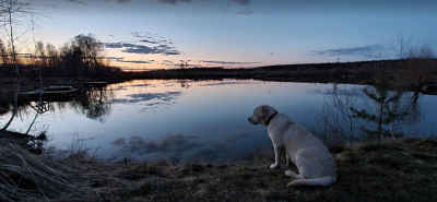 Рибалка у заміському комплексі: 