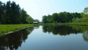 База Лесная во Львовской области