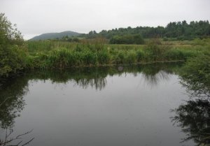Комплекс Альбатрос во Львовской области