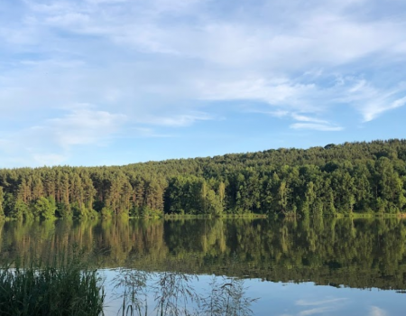 Фермерське господарство Хутір «Мельники»
