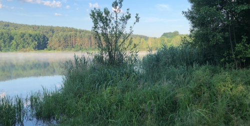 Фермерське господарство Хутір «Мельники»