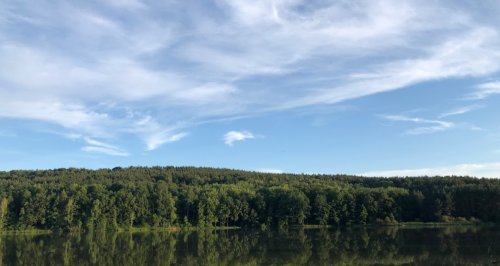 Фермерське господарство Хутір «Мельники»