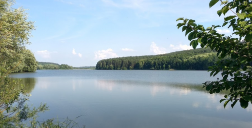 Фермерське господарство Хутір «Мельники»