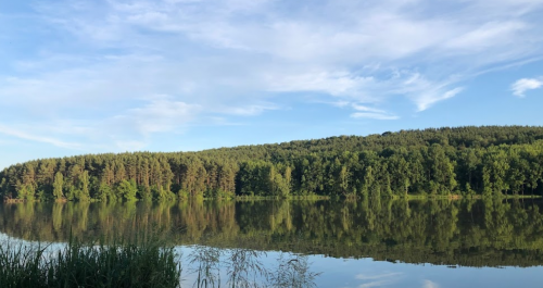 Фермерське господарство Хутір «Мельники»