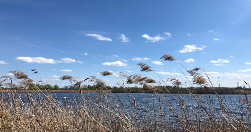 База відпочинку «Сонячні Озера» у Львівській області