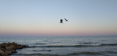 Морська риболовля та відпочинок в селі Приморський Посад, Запорізька область