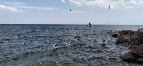 Морська риболовля та відпочинок в селі Приморський Посад, Запорізька область