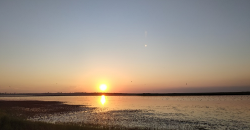 Морська риболовля та відпочинок в селі Приморський Посад, Запорізька область