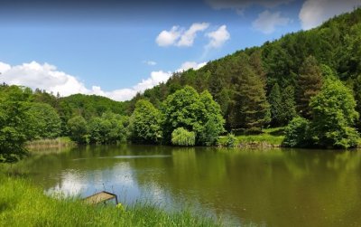 Рыбалка на базе: «Чарівні озера»