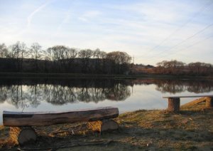 Хозяйство Лебедь во Львовской области
