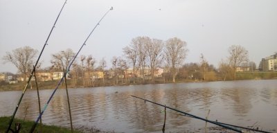 Рыбалка на ставке «Бабин Аквариум»