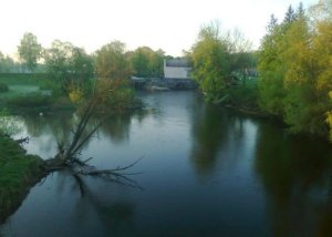 Рыбалка у села Деревянное в Ровенской области-1