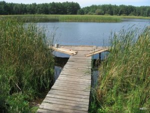 Рыбалка у села Поляны в Ровенской области-2