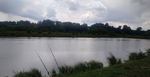 Базаринецький ставок у Тернопільській області