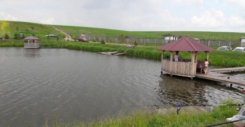 Базаринецький ставок у Тернопільській області