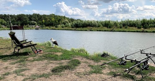 Базаринецький ставок у Тернопільській області