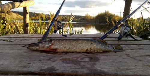 Базаринецький ставок у Тернопільській області