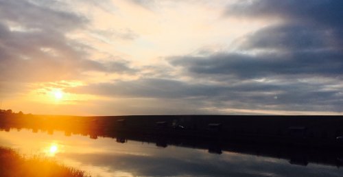 Базаринецький ставок у Тернопільській області