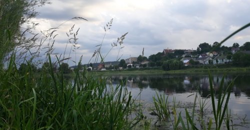 Бережани, Бережанський р-н, Тернопільська область