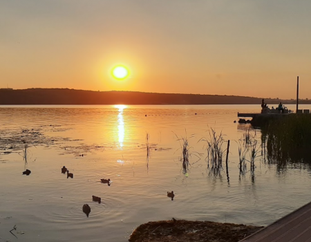 Ставок Фінансового інституту в Тернопільській області