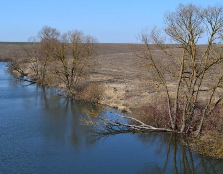 Риболовля в Довжанці Тернопільської області