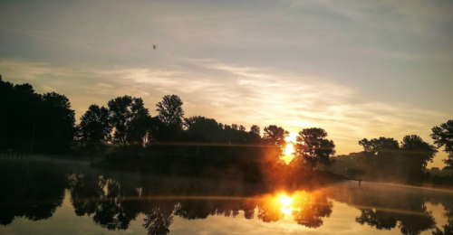 Ставок Ангелівка в Тернопільській області