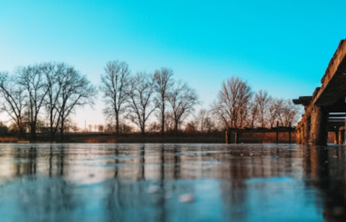 Ставок Ангелівка в Тернопільській області