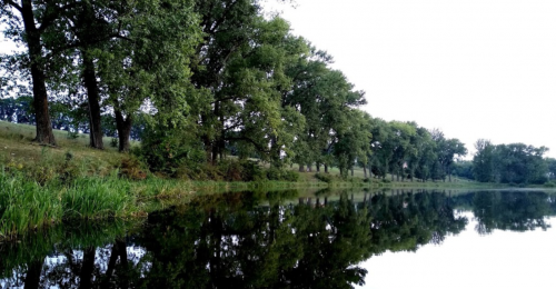 Ставок Ангелівка в Тернопільській області