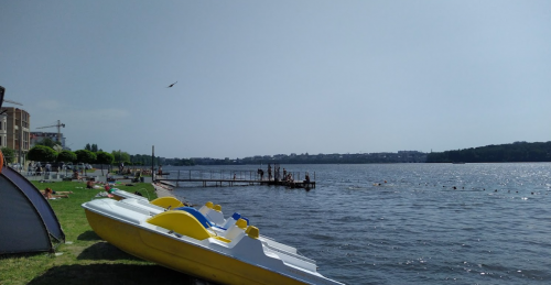 Ставок Фінансового інституту в Тернопільській області