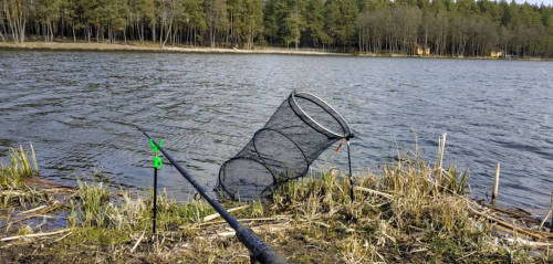 Ставок Вирля в Тернопільській області
