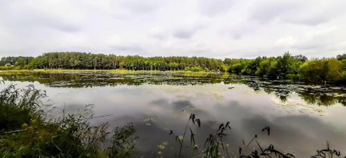 Ставок Вирля в Тернопільській області